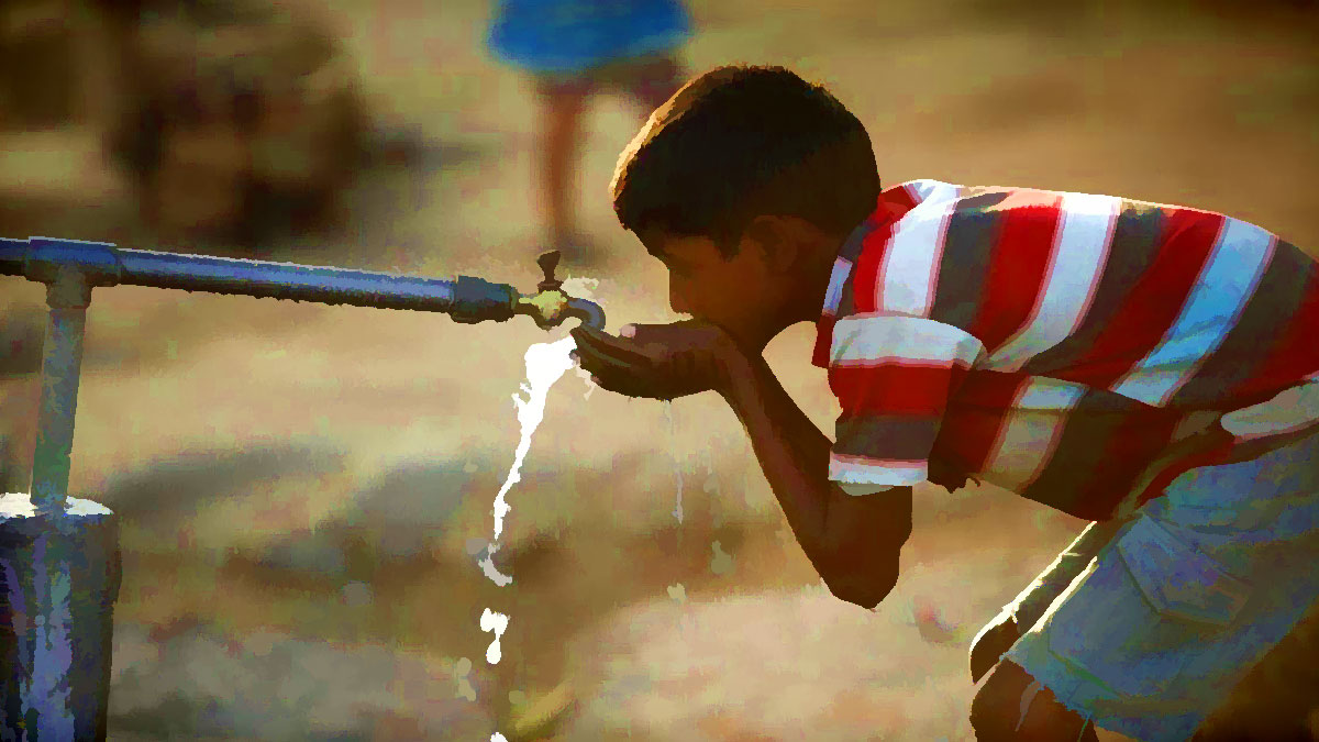 Special Rapporteur on the human right to safe drinking water and sanitation