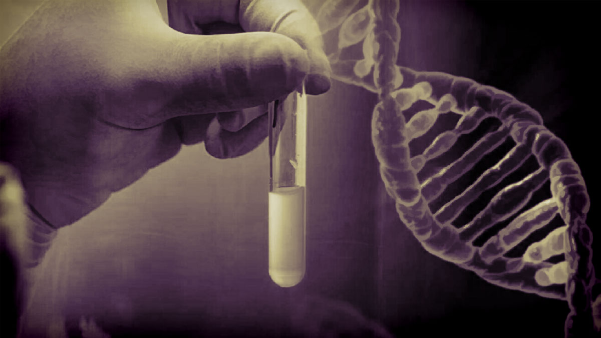 การตรวจ DNA