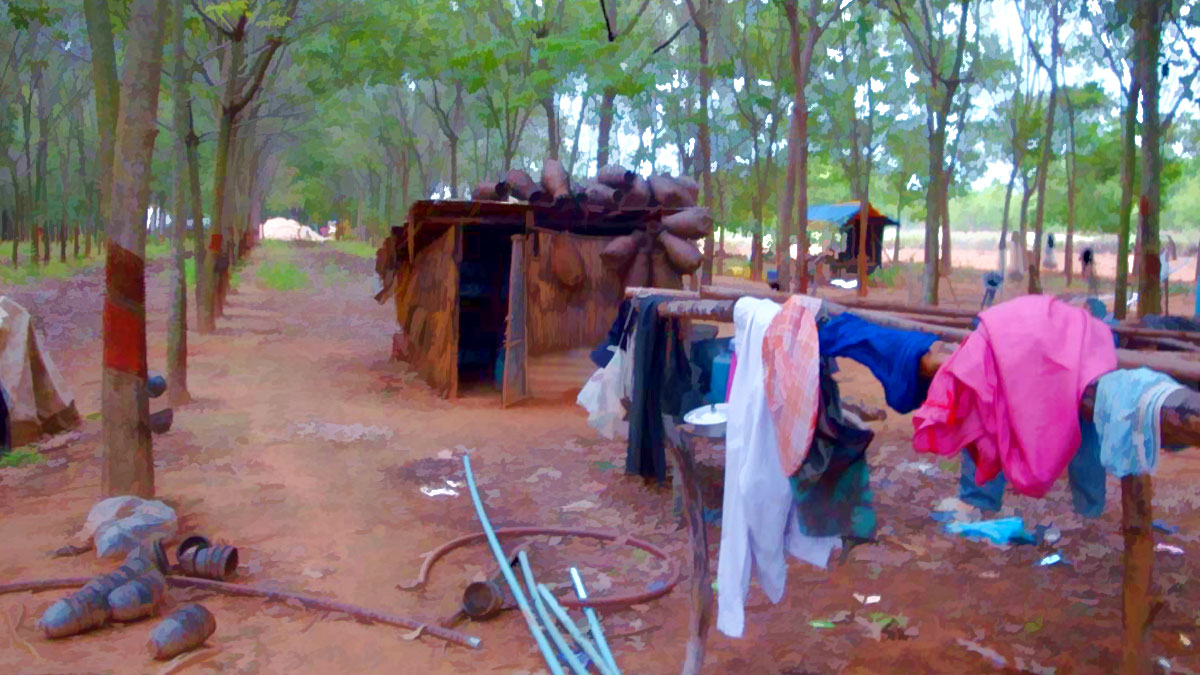 ทวงคืนผืนป่า โนนดินแดง